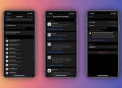 iCloud Keychain trên iOS 14 sẽ cảnh báo mật khẩu bị rò rỉ
