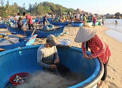 Nắng sớm ban mai trên những phiên chợ làng chài