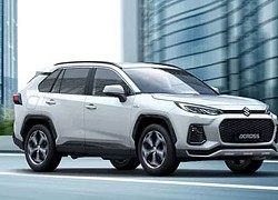 Suzuki sắp tung ra bản giá rẻ của Toyota RAV4, đấu Honda CR-V, Hyundai Tucson, Mazda CX-5