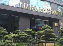 Thaiholdings (THD) tiếp tục tăng trần phiên thứ 12 kể từ khi chào sàn