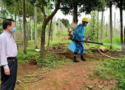 Thêm 9 ca dương tính với bạch hầu ở Gia Lai