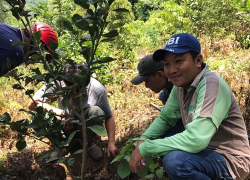 An Giang: Được Giáo sư nổi tiếng "xui" trồng cây ăn trái trên Núi Dài, nông dân khá giả hẳn