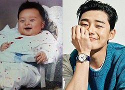 Bạn có tò mò Park Seo Joon đã 'dậy thì thành công' như thế nào?