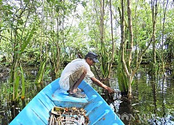 "Bơm" 17.500 tỷ đồng phát triển nông nghiệp ĐBSCL bền vững, gắn với xây dựng nông thôn mới