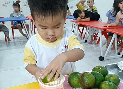 Chăm sóc dinh dưỡng cho trẻ mầm non, tiểu học ở trường