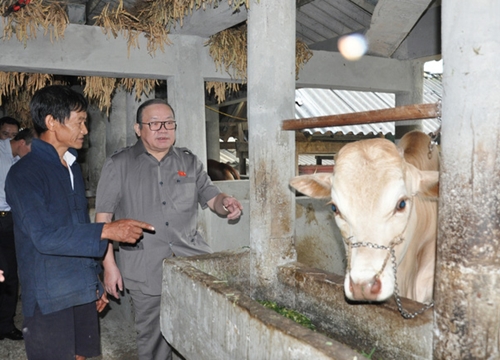 Chủ tịch Hội NDVN Thào Xuân Sùng: Hà Giang phát triển kinh tế gắn với bảo tồn, phát huy bản sắc dân tộc