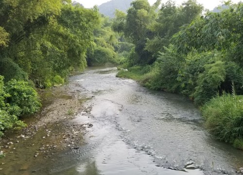 Chưa xác định được nguyên nhân khiến sông Phó Đáy có dấu hiệu ô nhiễm