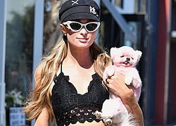 "Cô đào" Paris Hilton mặc bra nóng bỏng, ôm thú cưng ra phố ở Malibu