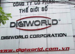 Digiworld có nữ Chủ tịch HĐQT mới