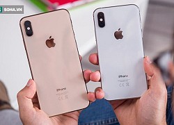 Giảm giá kịch sàn, "báu vật" của Apple sắp trở thành điện thoại iPhone thông dụng nhất VN