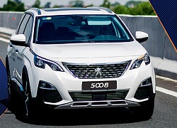 Người dùng đánh giá Peugeot 5008: 'Xe Pháp tốt cho đại gia đình vi vu đường xa'