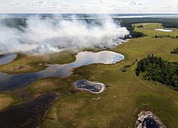 Nhiệt độ tại Siberia trong tháng 6 cao kỷ lục, gây cháy rừng tồi tệ