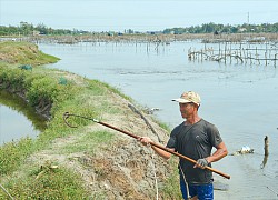 Ở đâu như ở đây, dân tranh thủ nông nhàn đi cào lươn đồng cũng có tiền đút túi