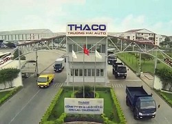 Ô tô Trường Hải (Thaco) trả cổ tức 9,5% bằng tiền và phát hành cổ phiếu tỷ lệ 80%