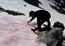 Phát hiện điều bất thường trên dãy Alps, có thể gây ra tai họa với Trái đất