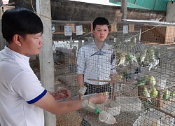 Tây Ninh: Nuôi loài chim có thể tập nói như tiếng người mà làm giàu