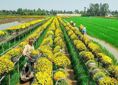 Tên gọi Sa Đéc có nghĩa gì?