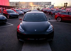 Tesla Model 3 bất ngờ thành trào lưu mới tại Hàn Quốc