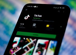 TikTok for Business giới thiệu tính năng tự tạo quảng cáo