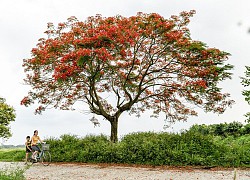 Trở -về nơi bình yên