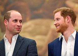 William - Harry chia đôi quỹ tưởng niệm mẹ