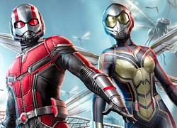 Ant Man 3 sẽ sớm đi vào sản xuất trong năm 2021 và ra mắt vào khoảng thời gian này