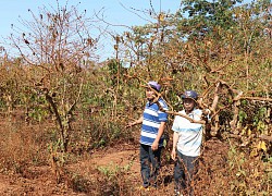 Đền bù tiền tỷ trên 23,4ha đất: Tránh thất thoát ngân sách và có lợi cho dân