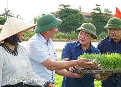 Hải Dương: Lần đầu tiên trình diễn máy cấy lúa trên đồng ruộng