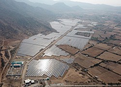 Licogi 16 (LCG): Năm 2020 sẽ ghi nhận lợi nhuận từ dự án Solar Farm Nhơn Hải, tập trung nguồn lực vào ngành điện