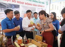 Ngày hội giáo dục hướng nghiệp và giải quyết việc làm tại Thái Nguyên