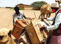 Thư viện di động ở Ethiopia