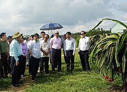 Thường trực Ban Bí thư Trần Quốc Vượng thăm và làm việc tại Bình Thuận