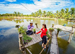 'Viên ngọc thô' Cồn Hô