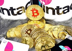 Bitcoin tăng nhẹ, thị trường vẫn ảm đạm