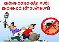 Bộ Y tế khuyến cáo phòng chống sốt xuất huyết