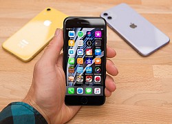 Có nên mua iPhone SE 2020 khi chỉ rẻ hơn iPhone 11 dưới 9 triệu?