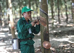 Cổ phiếu cần quan tâm ngày 14/7