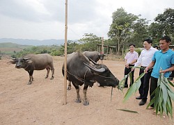 Đổi thay thấy rõ ở các vùng "lõi nghèo" của đất nước nhờ Chỉ thị số 40 của Ban Bí thư