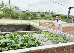 Gia Lai: 9X bỏ ngang đại học về quê nuôi con "ăn bẩn ở sạch" giờ ra sao?