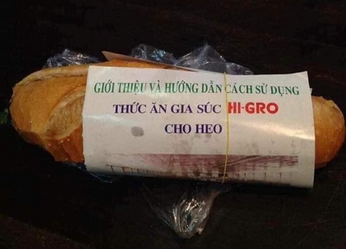 Góc hài hước: Những pha giấy bọc bánh mì khiến người ăn cạn lời vì nội dung khó đỡ - Netizen - Việt Giải Trí