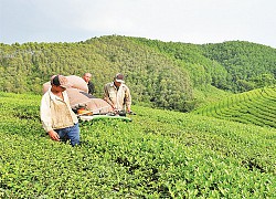 Hòa Bình tinh giản cán bộ gắn với chuẩn bị nhân sự đại hội đảng bộ các cấp