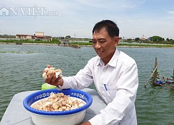 Nam Định: Ao cá "khủng" nuôi toàn cá trắm đen "siêu to khổng lồ", doanh thu 6-7 tỷ/năm