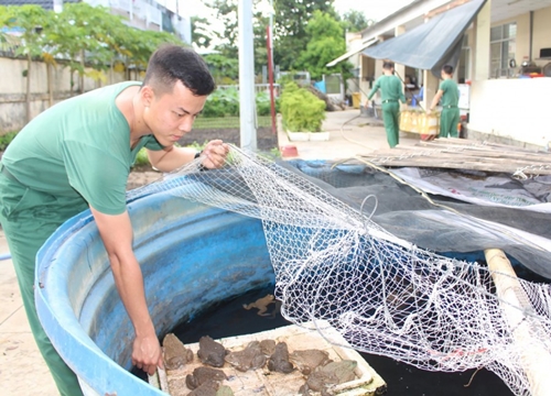 Ngành Hậu cần Quân khu 9 làm theo lời Bác Hồ dạy