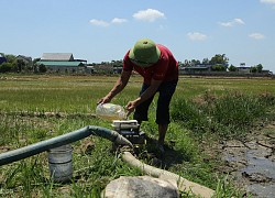 Nghệ An công bố thiên tai do nắng nóng