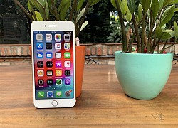 Những mẫu iPhone "quốc dân" đã nhiều năm tuổi đời nhưng vẫn đáng mua trong năm 2020