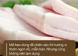 Chuyên gia Vũ Thế Thành: Bốc mỡ heo lên tới hàng "top ten" thực phẩm bổ dưỡng thì, xin lỗi, tôi không dám!