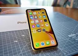 Tỉ mỉ từng chi tiết thế này, bảo sao nhiều người 'phát cuồng' vì iPhone đến vậy