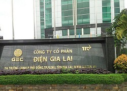 Điện Gia Lai (GEG) dự kiến huy động 509,7 tỷ đồng từ cổ đông hiện hữu