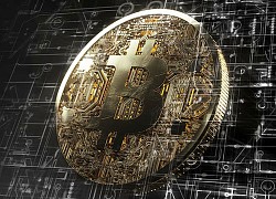 Giá Bitcoin hôm nay ngày 16/7: Top 10 đồng loạt giảm điểm, Bitcoin mất 58 USD/BTC