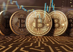 Giá Bitcoin hôm nay ngày 17/7: Thị trường tiền ảo tiếp đà giảm, Bitcoin mất 53 USD/BTC